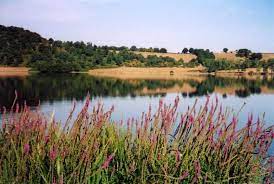Si tratta di un giovane inglese, nato a londra ma. Aktualisiert 2021 Agriturismo Lago Di Mezzano Appartamento Francesca Appartement In Valentano Tripadvisor