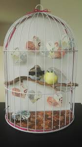 Hochzeitsgeschenk Geldgeschenk Vogelkafig Hochzeit Geschenk Geld Hochzeitgeldgeschenke Geldgeschenke Hochzeit Basteln
