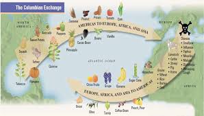 .the columbian exchange was the importing and exporting of animals, plants, and diseases between the new world and the old world.explorers from eurasia were bringing their animals, plants, and diseases over to the new world as well as returning home with new items.there's no doubt that the columbian exchange changed the world. Columbian Exchange Jaxon Tarver Eli Strote Period 3