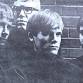 The Fogcutters