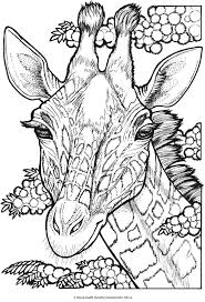 Print cute coloring pages for free and printable coloring book pages online. 24 Best Giraffe Coloring Pages Ideas Coloring Pages Giraffe Coloring Pages Giraffe