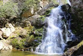 We did not find results for: Waterfall Weekend Itinerary For Virginia S Blue Ridge Mountains Roanoke Va