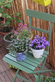Das garten fräulein gibt auf ihrem blog einfache anleitungen und tipps, die lust auf das gärtnern machen foto: Balkonstories Das Gartenfraulein Wohnungsgarten
