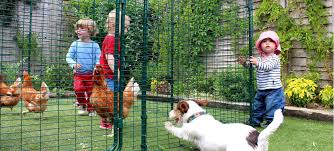 Walk In Chicken Run Huhnergehege Huhnerhof Huhner Als Haustiere