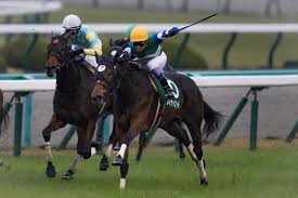 ほうずきみたいに紅い魂 ⅱ ルーネイトエルフ ⅲ 上海紅茶館 ～ chinese tea ⅳ ヴワル魔法図書館 ／ ラクトガール ～ 少女密室 ⅴ メイドと血の懐中時計 ／ 月時計 ～ ル. ãƒ•ã‚¡ãƒ³ã‚¿ã‚¸ãƒ¼s ãƒ¡ã‚¤ã‚±ã‚¤ã‚¨ãƒ¼ãƒ«ãŒé‡è³ž2é€£å‹ åŠ›ã§æŠ¼ã—åˆ‡ã‚‹ ç«¶é¦¬ãƒ‹ãƒ¥ãƒ¼ã‚¹ãªã‚‰ ç«¶é¦¬ã®ãŠã¯ãªã—