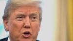 Donald Trump proposes visa lottery