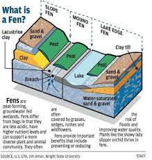 Fen is treated as a regular c corporation for u.s. Fen Wiktionary