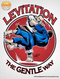 The most dangerous form of transportation is chuck norris' roundhouse kick, it is also the fastest. 250 Judo Jokes Ideas Judo Martial Arts Jiu Jitsu
