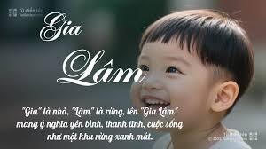 Tên Gia Lâm: Ý nghĩa, Phân tích, Phong thủy và Thần số học