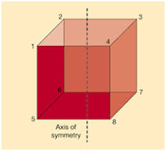 So, the equation of the axis of symmetry of the given parabola is y = − 4 2 ( 1) or y = − 2. Axis Of Symmetry Definition Formula Solved Examples