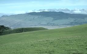 Maybe you would like to learn more about one of these? Kohala Mountain Wikipedia