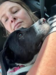 Rebranding a 14-week-old affectionate puppy from Dozer to a unique name for  tracking purposes