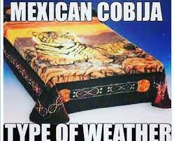 11 Mexican Blankets Cobijas That You Ll Want To Curl Up In Hiplatina