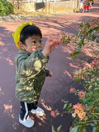 子ども達は木の実や葉っぱを見つけるのが大好き この葉っぱもきれいだね オリーブ保育園