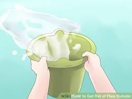 To prevent whiteflies from attacking plants in. How To Get Rid Of Flies Outside Get Rid Of Flies Flies Outside Fly Repellant Diy