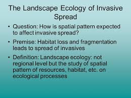 July 06, 2021 04:29:02 pm. The Landscape Ecology Of Invasive Spread Question How Is Spatial Pattern Expected To Affect Invasive Spread Premise Habitat Loss And Fragmentation Leads Ppt Download