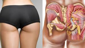 You can also get bigger buttocks naturally if you combine olive oil with nivea blue cream. This Is What Sitting All Day Does To Your Butt Glamour