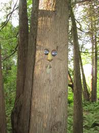 Ent In The Middle Earth Elf Forest From Hosting A Shire Party By Lynne Collier Http Amzn To 2sfvy5d Middleearthpa Book Party Forest Elf Middle Earth Elves