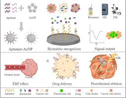 Image result for Modified Apt Test