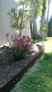 The best woods to use for edgings are redwood and cedar because they don't rot. How To Choose The Right Garden Edging For Your Outdoor Space Houzz Au