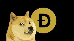 Dogecoin's popularity reflects big power shifts due to social media and twin financial crises. Erster Ernstzunehmender Anwendungsfall Fur Dogecoin Gefunden Block Builders De