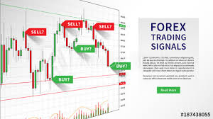 Forex Trading Indicators Vector Illustration Online Trading