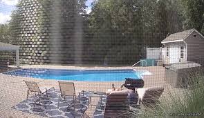 Maybe you would like to learn more about one of these? Watch As Bear Nudges Sleeping Greenfield Massachusetts Resident Awake As He Napped Poolside Masslive Com