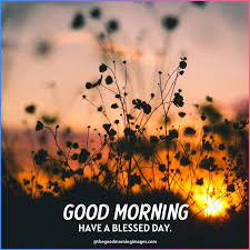 / and blessed be thy advice, and blessed be thou, which hast kept me this day from coming to shed blood, and from avenging myself with mine own hand. Best Good Morning Blessings Images With Quotes Wishes