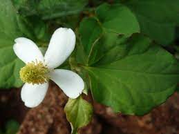 Check spelling or type a new query. à¸ªà¸¡ à¸™à¹„à¸žà¸£à¸™ à¸²à¸£ à¸­à¸  à¸¢à¸  à¹€à¸šà¸¨à¸£ à¸žà¸¥ à¸„à¸²à¸§ à¸„à¸²à¸§à¸•à¸­à¸‡ à¸ªà¸¡ à¸™à¹„à¸žà¸£à¹€à¸ªà¸£ à¸¡à¸  à¸¡ à¸„ à¸¡à¸ à¸™ Thailand Plus Online