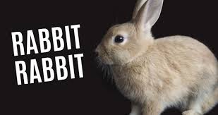 Rabbits evolved to live in groups, never alone. Why People Say Rabbit Rabbit On The First Day Of The Month