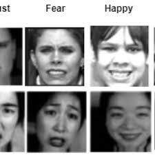 Samples of Augmented Images Generated.