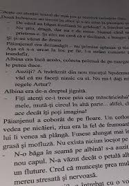 O succesiune de trei sunete vocalice în aceeași silabă se numește triftong. Transcrie Din Text DouÄ Cuvinte Care Contin Diftongi Diferiti Un Triftong Si Un Cuvant Care Contine Brainly Ro
