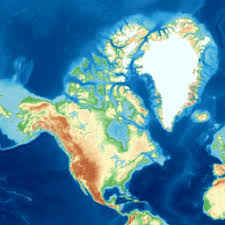 Image result for Tolpis capensis