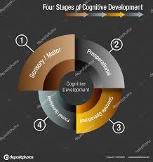 Four Stages Of Cognitive Development Stock Vector