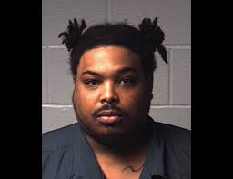 Teen caught burglarizing homes claims he was looking for lost dog, cops say 