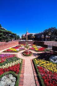 Pin By N Rushi On Nature In 2020 Beautiful Gardens Gorgeous Gardens Beautiful Flowers Garden