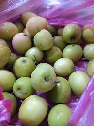 Akar bibit pohon bidara dapat dimanfaatkan untuk membantu pertumbuhan rambut yang baik, serta mengurangi demam yang diakibatkan oleh penyakit. Khasiat Buah Bidara Yang Sedap Cerita Ita