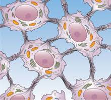 Maybe you would like to learn more about one of these? Cell Junction Wikipedia