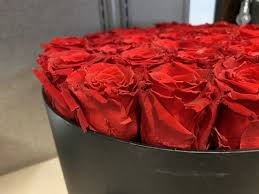 Maybe you would like to learn more about one of these? Venus Et Fleur 348 Photos 231 Reviews Florists 185 Greenwich St New York Ny United States Phone Number Yelp