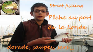 Peche Au Port De La Londe Les Maures Plein De Poissons Tres Combatifs Youtube