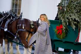 Also search for winter and snow photos to find more free images. Melania Trump Receives White House Christmas Tree From West Virginia