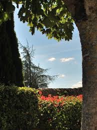 Un Regard Etrique Plants