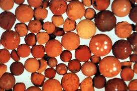 Image result for ehsq nagarjuna group