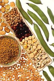 Legume Wikipedia