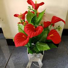 Berbagai macam bunga mawar, bunga tulip, bunga melati, bunga matahari, cocok untuk pacar atau kekasih bunga itu ungkapan cinta. Bunga Merah Cantik Dan Indah Shopee Indonesia