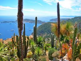 Image En France Aussi Le Jardin Exotique D Eze Escapades Amoureuses Jardin Exotique Exotique Jardins