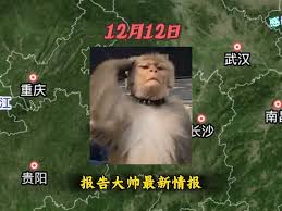 12月12日报告大帅，最新情报。 #最新消息#热点新闻#生育#国际新闻- 抖音