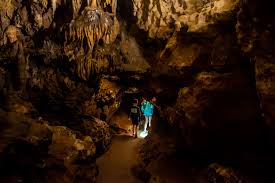 Filled with a huge array of unique limestone formations, florida caverns state park may surprise florida's first time visitors. Florida Caverns State Park Ourlittlelifestyle