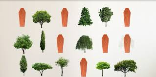 Our latest course focuses on how to improve your critical thinking and become more aware of. Biodegradable Burial Pod Turns Your Body Into A Tree Cnn