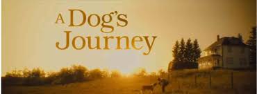 This is a powerful theme in the movie, especially when the dead dogs run through a wheat field to cross the rainbow bridge. A Dog S Journey Movie Cast Release Date Trailer Posters Reviews News Photos Videos Moviekoop